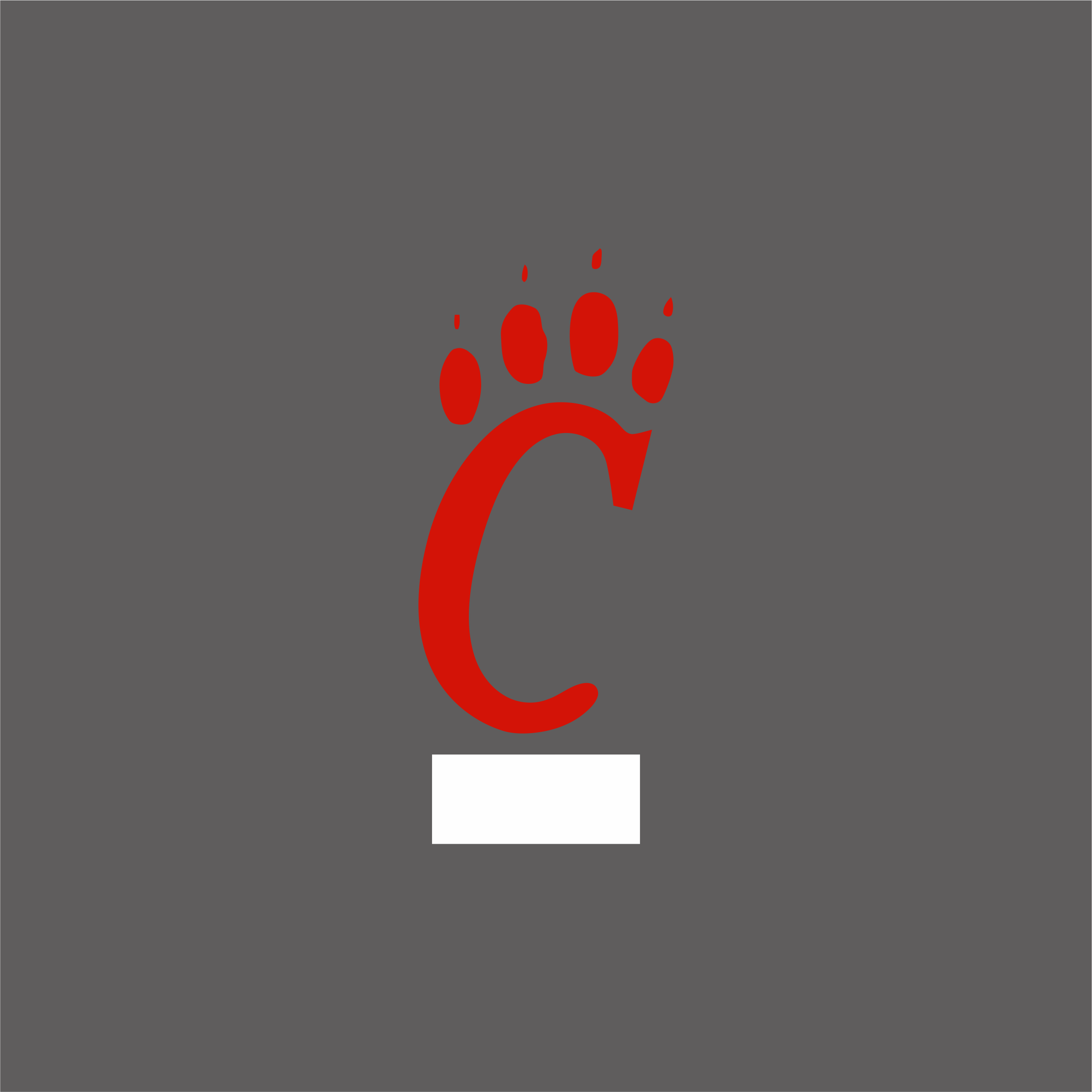 Cincinnati Bearcats 1990-2005 Primary Logo v2 iron on transfers for clothing